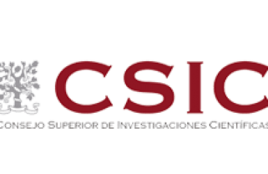 CSIC-informe